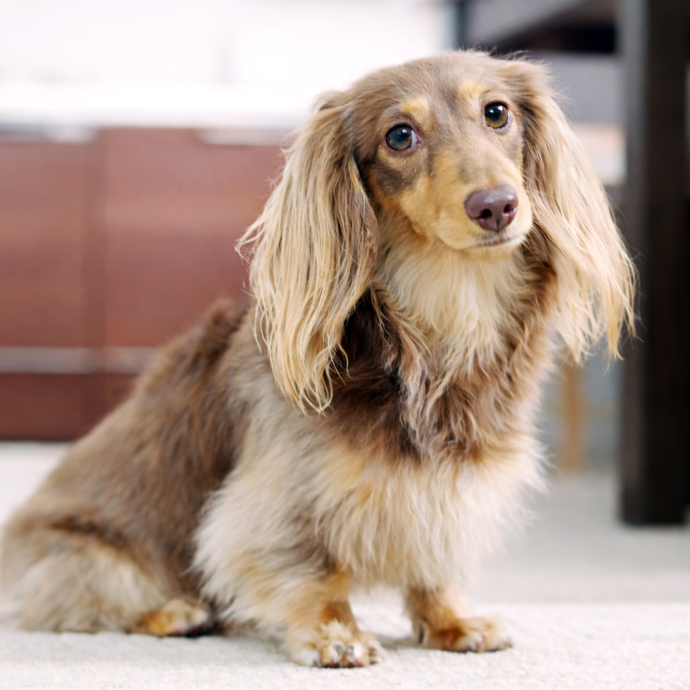 ご自宅で行う訪問レッスンの様子