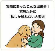 実際にあったこんな出来事｜家族以外に私しか触れない大型犬