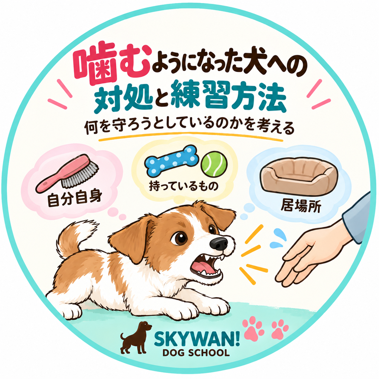 噛むようになった犬への対処と練習方法のアイコン