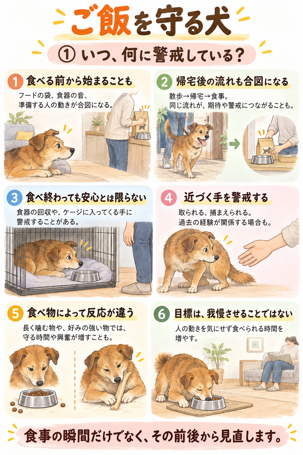 いつ、何に警戒している? 食事の前後に見られる警戒と、人の手への反応をまとめた図解