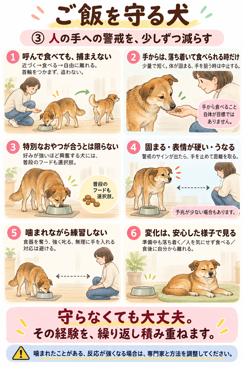 人の手への警戒を少しずつ減らす。捕まえない経験、警戒のサインと練習をやめる目安をまとめた図解