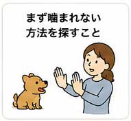 子犬の甘噛みはどう考える？まず噛まれない方法を探すこと