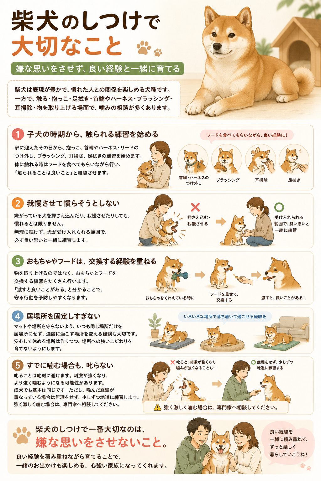 柴犬のしつけで大切なことをまとめた図解