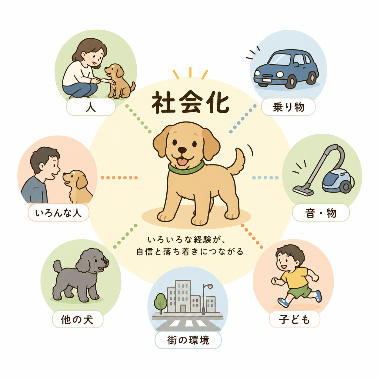 社会化のイメージ