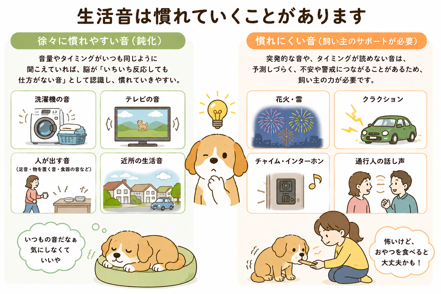 社会化には人や犬だけでなく音に慣れることも含まれるイメージ