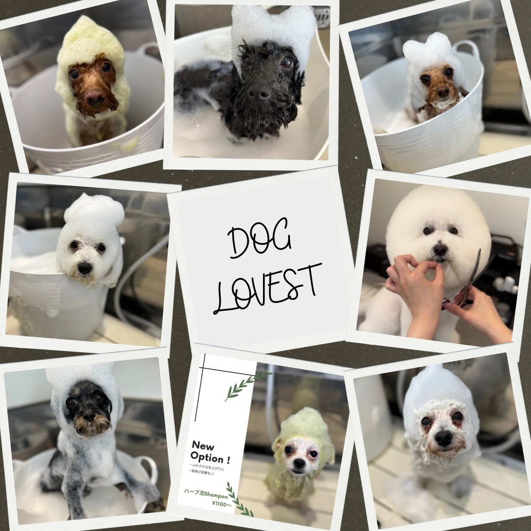 トリミングサロン