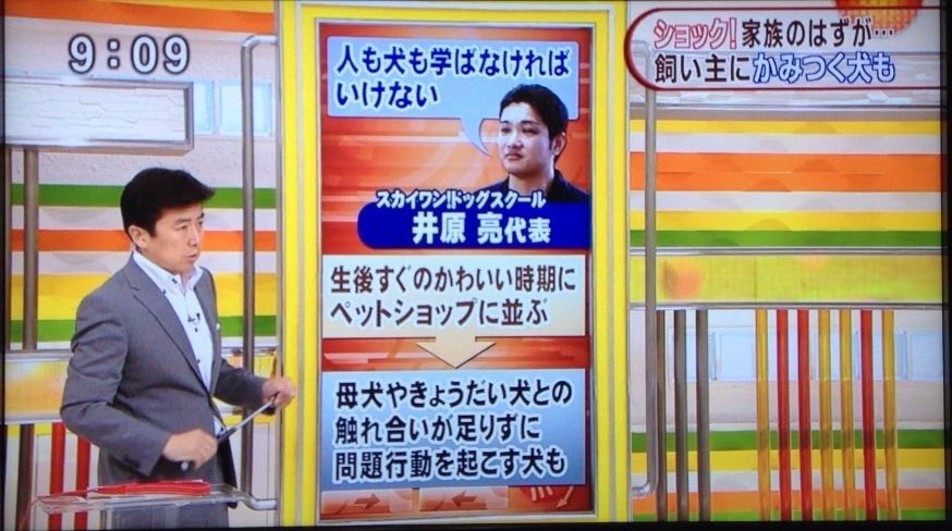 かさいさんのふかぼりで井原亮さんが解説している様子