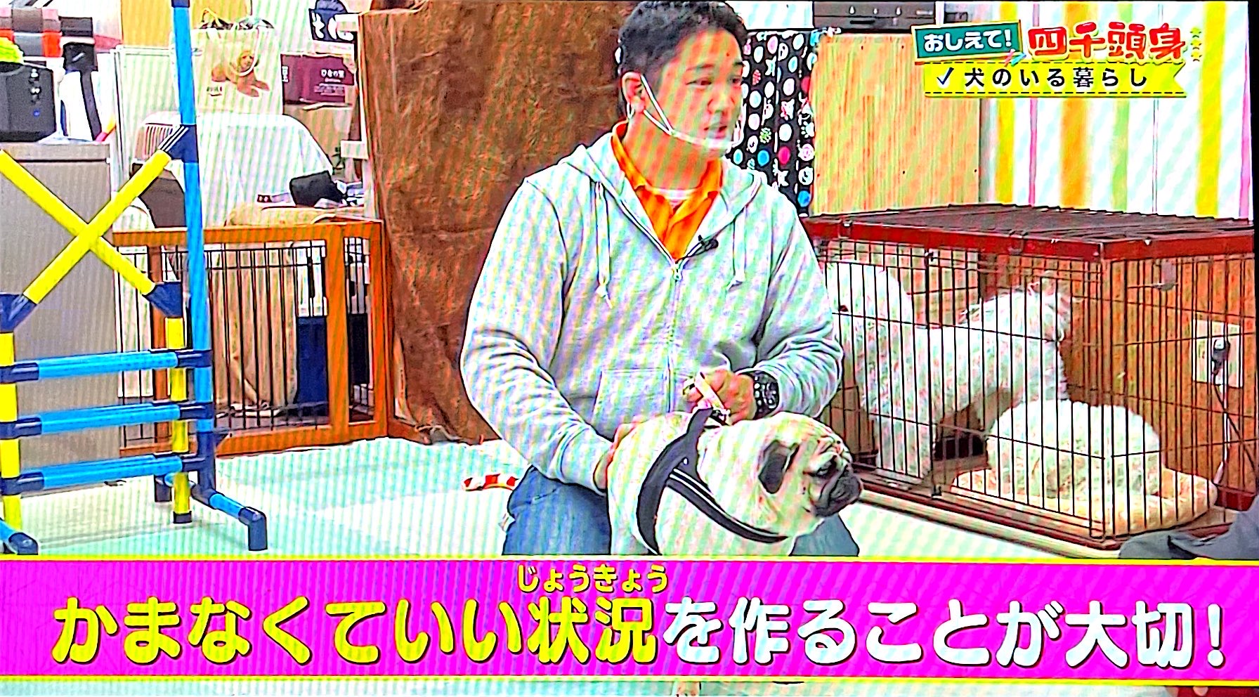 四千頭身の番組で犬の接し方について説明している様子