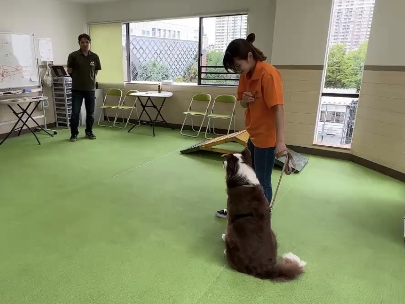 日本橋校 トレーニングの様子