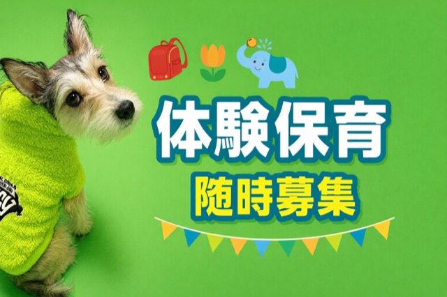 無料体験保育随時募集中