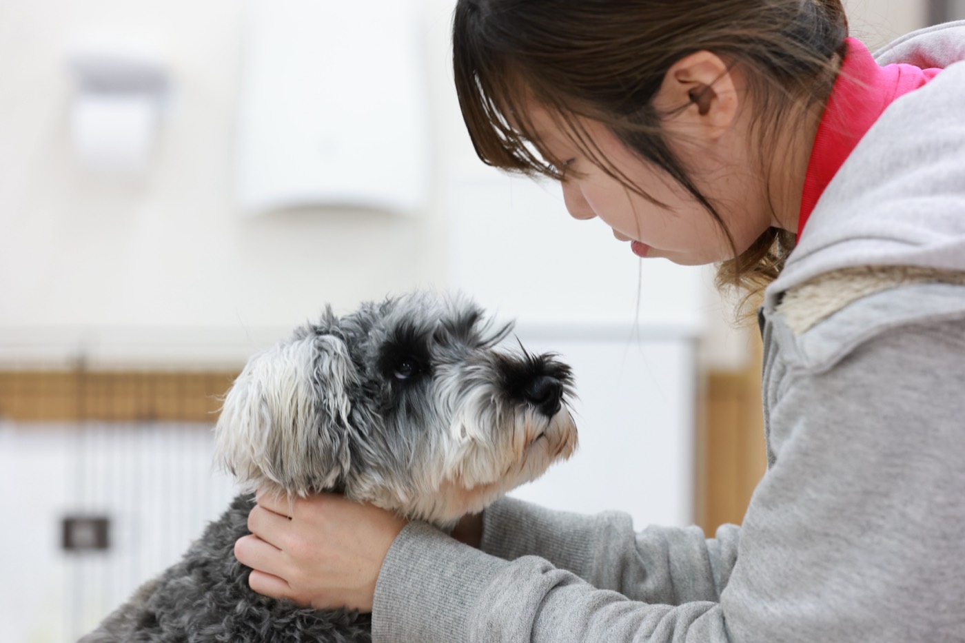 SKYWANで犬と向き合うトレーニングの様子