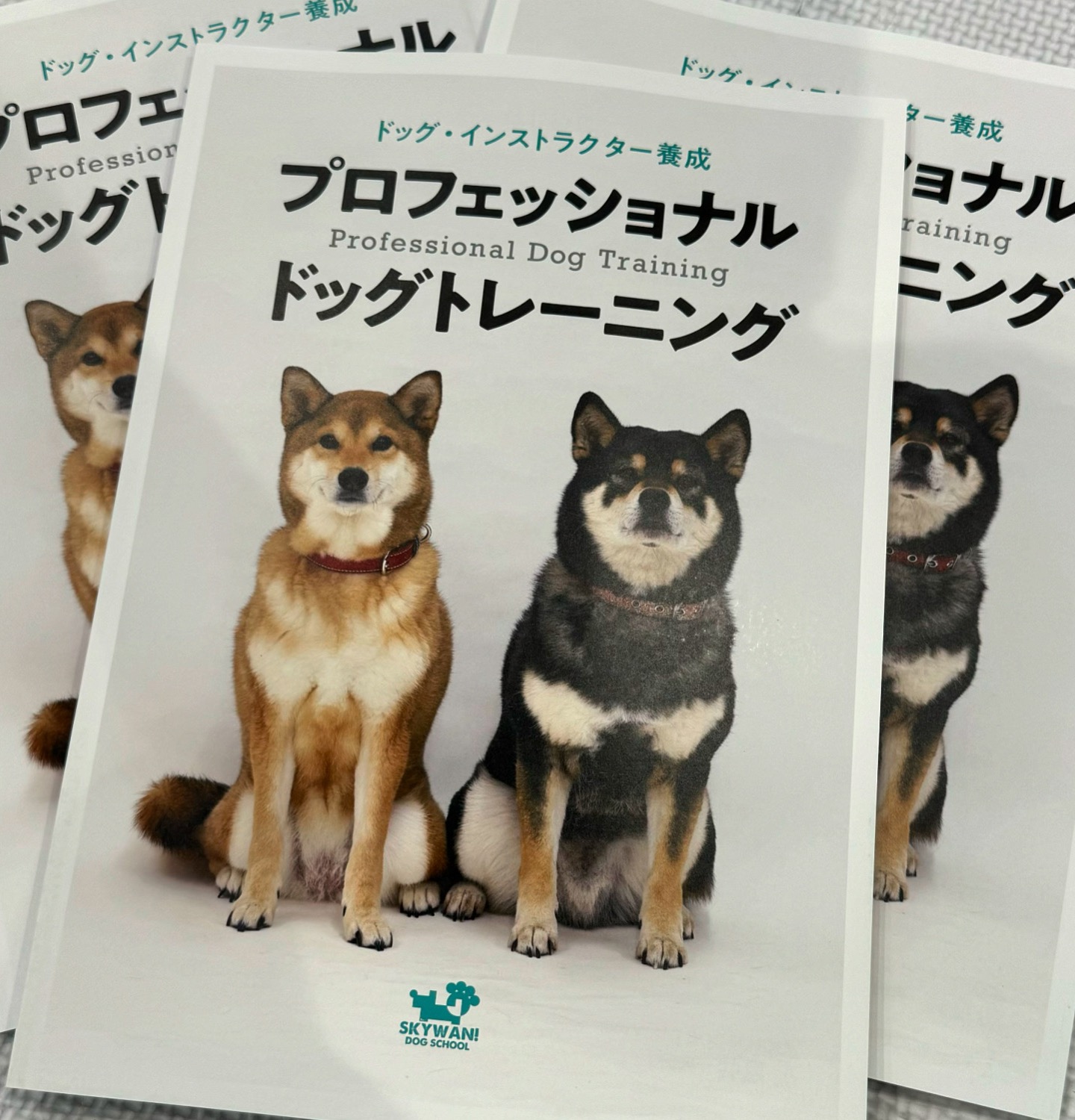 トレーナー基礎理論コースで使用する教材イメージ